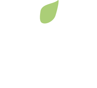 fir design
